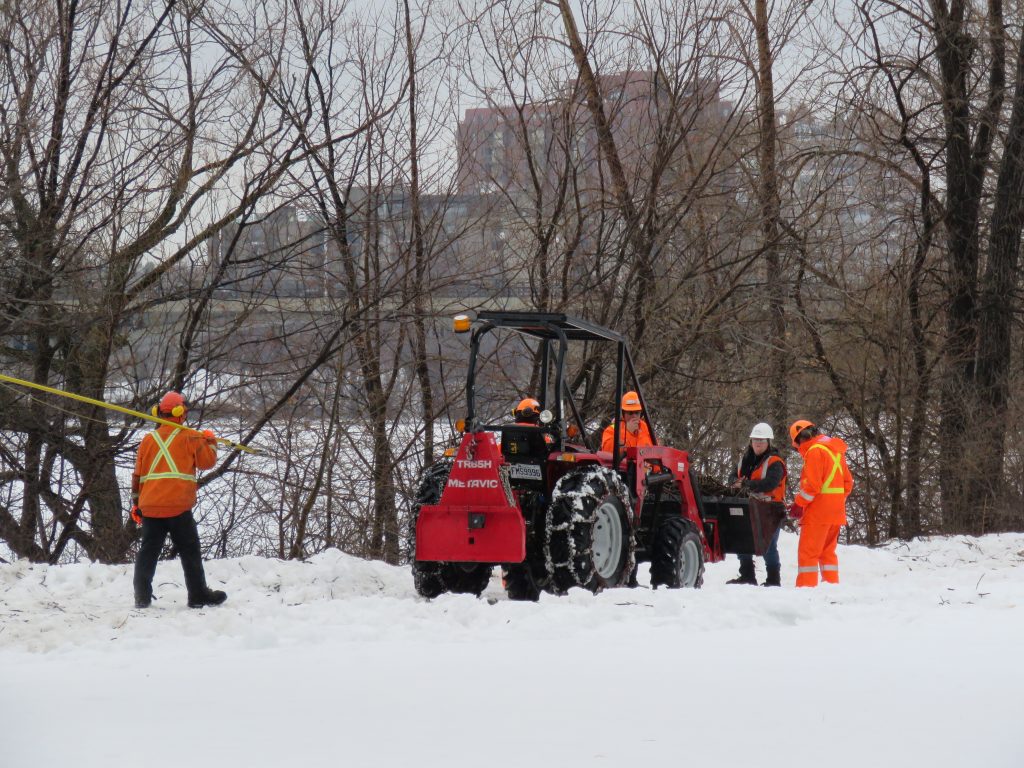 Nicolas-viel émondage hydro-québec 030