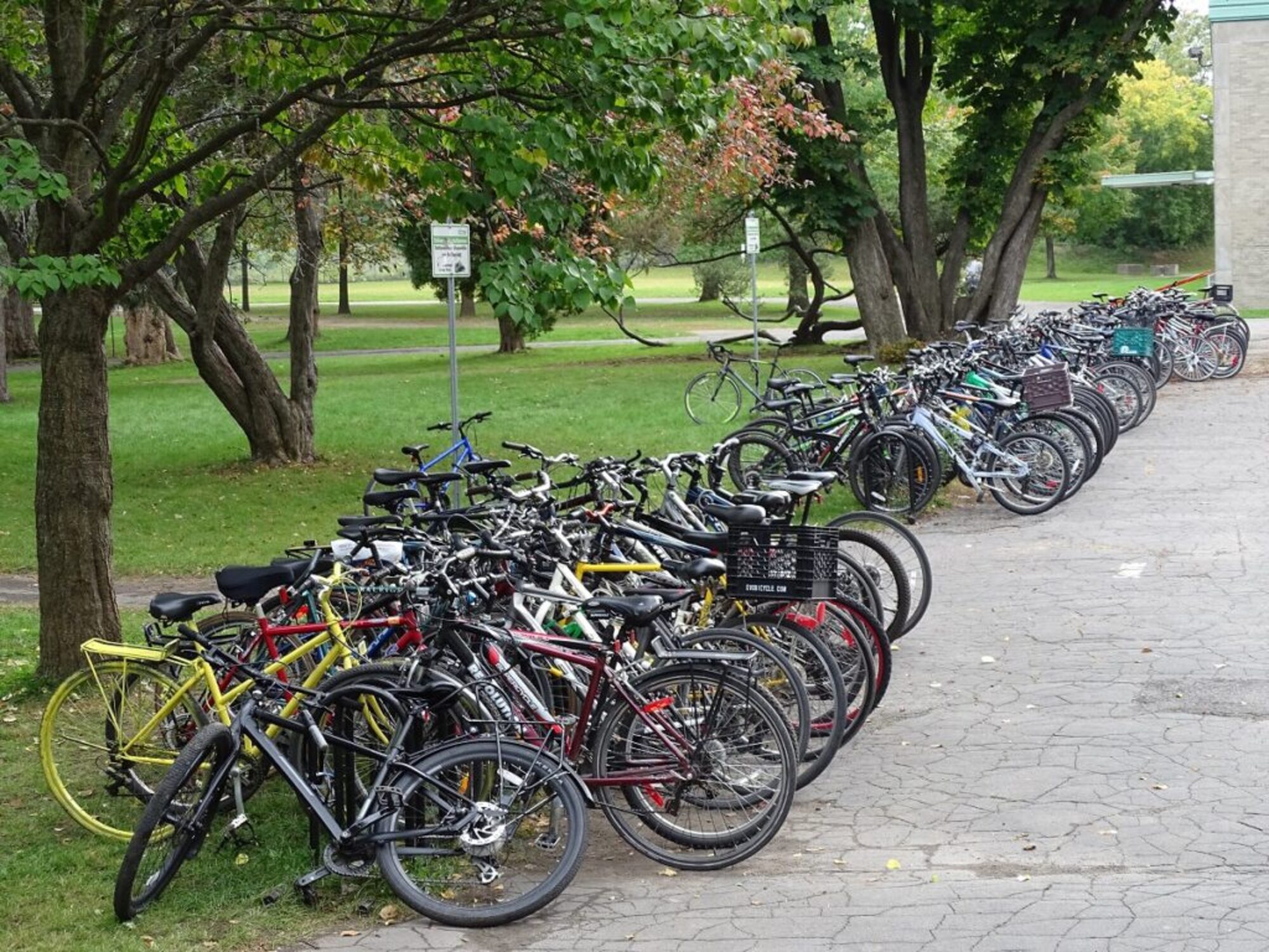 vélos à Sophie-Barat (2) Photo PR