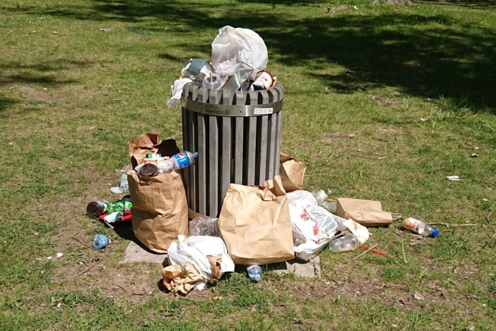 Une poubelle déborde à l'Île Perry au grand désarroi des passants