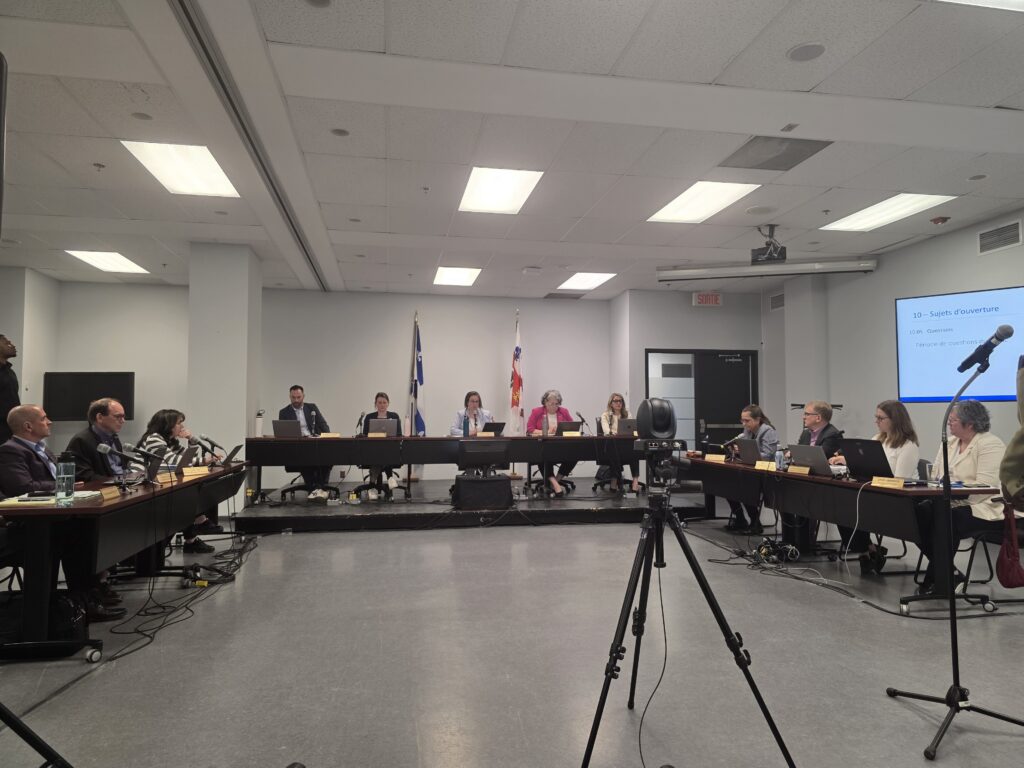 conseil d'arrondissement 5 mai 2025